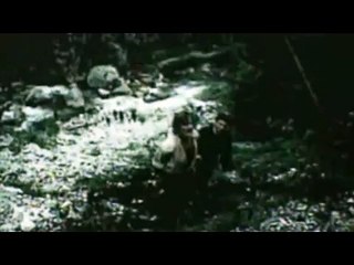 Mi-ar placea aici mi-ar canta la cap pasarile