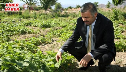 (11 MAYIS 2017) ORGANİK DEVRİM