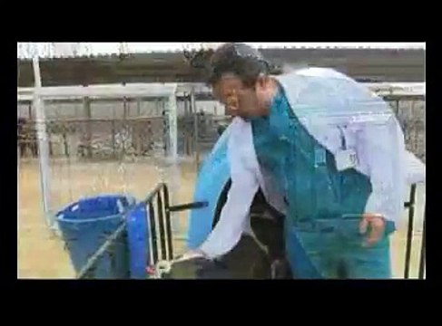 Veteriner Hekimlik Tanıtım Filmi 2011 - VetRehberi.com