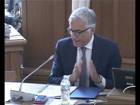 Roma - Mercato energia elettrica, audizione Autorità competente (03.05.17)