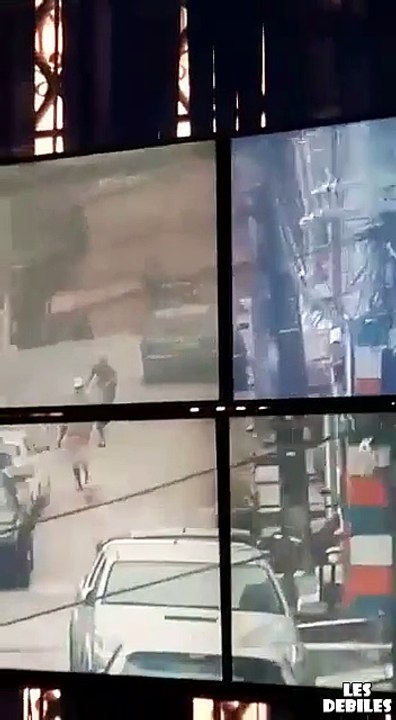 Un chien stoppe net un voleur en lui mordant les parties intimes