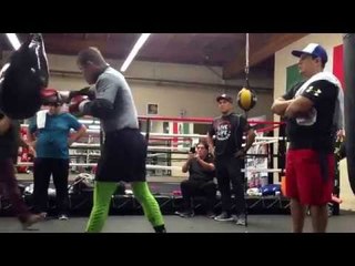 Canelo Alvarez Got SICK Power vicious body work - esnews boxing