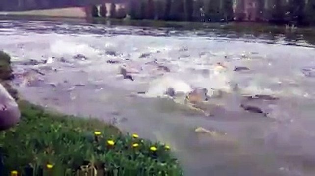 Moi quand j’ouvre un paquet de M&M’s avec mes potes...