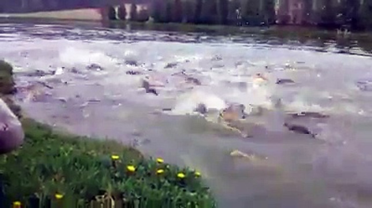 Moi quand j’ouvre un paquet de M&M’s avec mes potes...