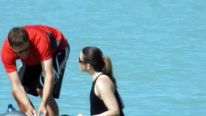 Birling Gap and Beachy Head views of the sea cliffs, South Downs and Eastbourne 20 August 2016