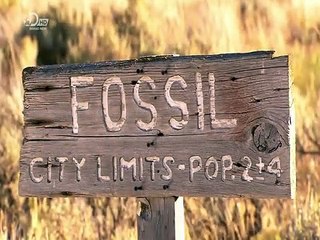 How It's Made Fossils