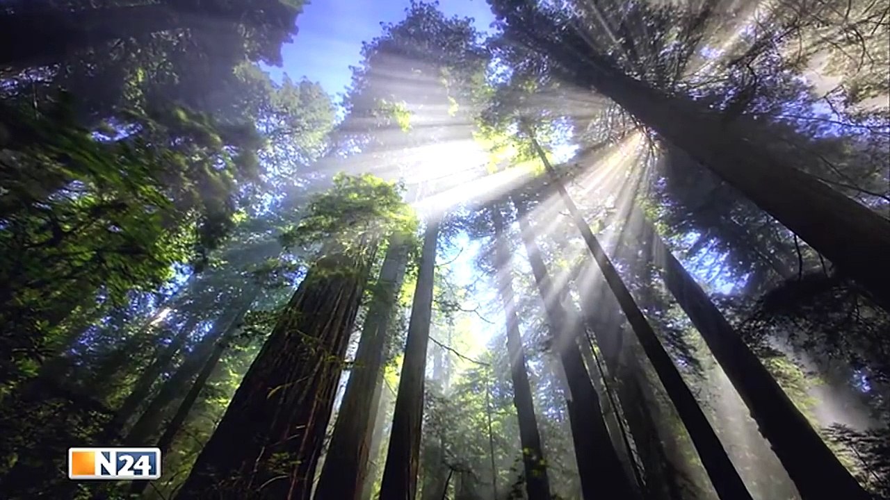 Die Ufo Akten - Episode 4 - Star People