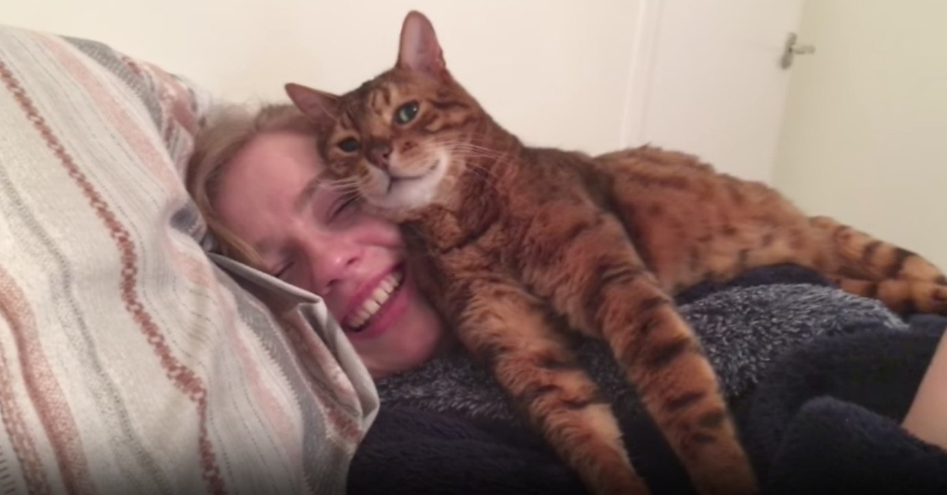 Dono apresenta namorada ao seu gato e a reação do felino não podia ser melhor... está aprovada!