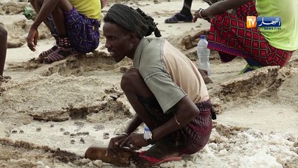 إثيوبيا: قوافل الملح التقليدية تحارب من أجل الصمود