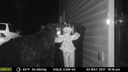 Effrayer un ours qui veut bouffer la poubelle... CHECK