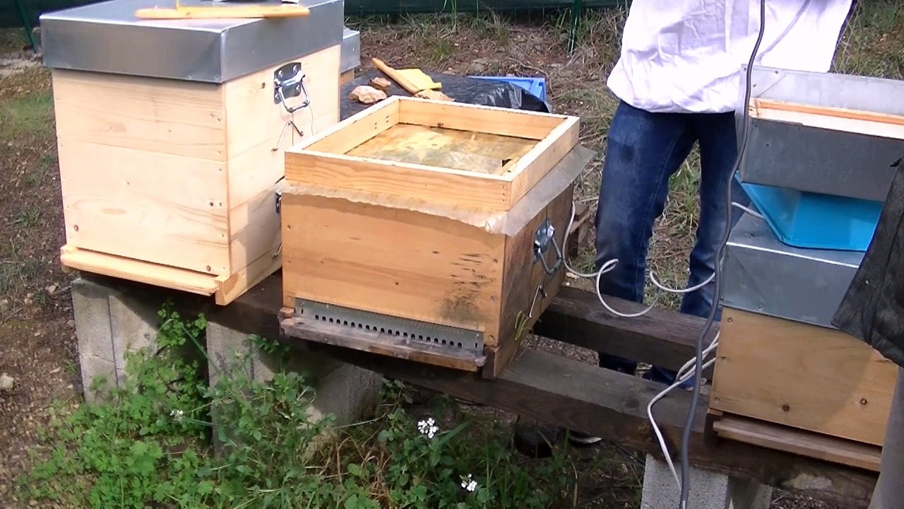 Festival innovation Lycée International de Valbonne Rucher CIV