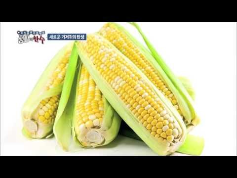 천 기저귀와 종이 기저귀의 차이! 다양한 기저귀의 종류! [생활의 한수] 2