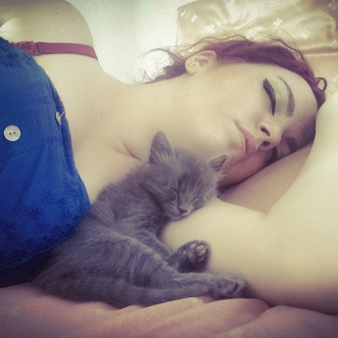 ⁣kitten sleeping