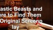 Fantastic Beasts and Where to Find Them The Original Screenplay