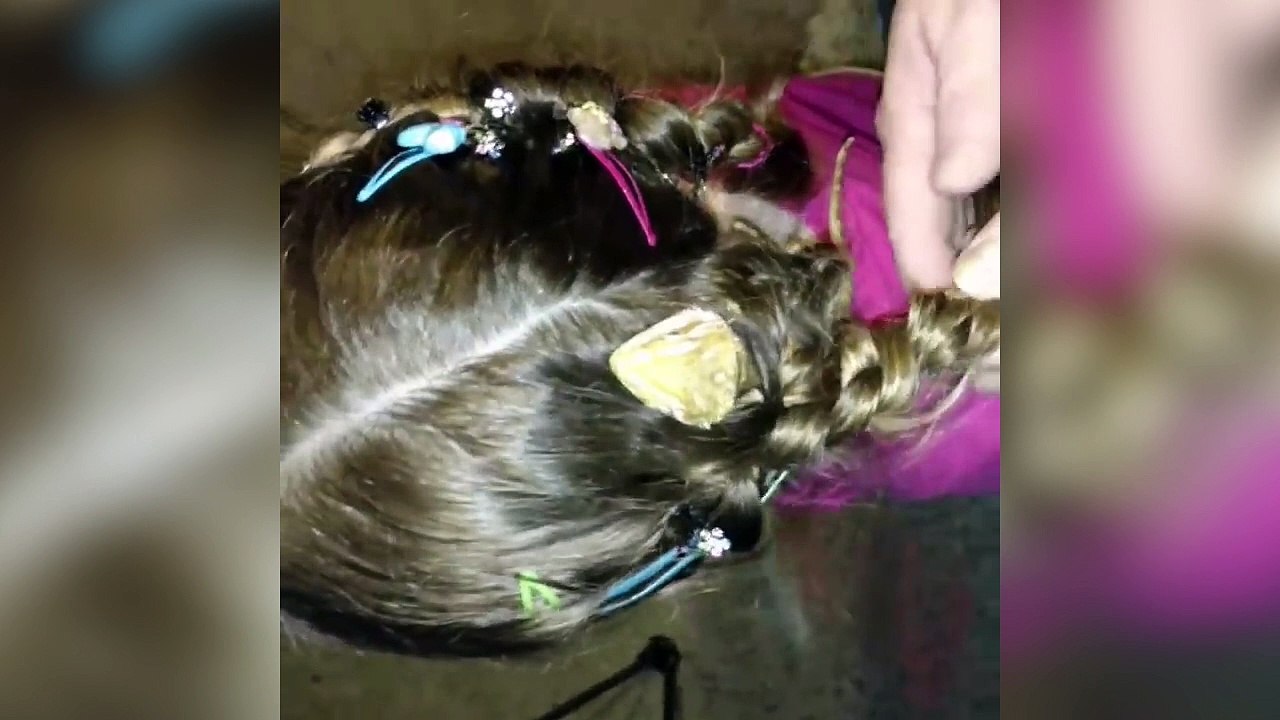 Un lézard se cache dans les cheveux d'une petite fille !