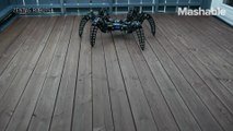 This robotic spider looks freakishly real