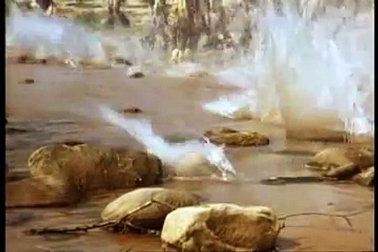 SHAKA ZULU TRAINING ZULUS