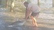 Beachgoers Help a Shark in Myrtle Beach, South Carolina