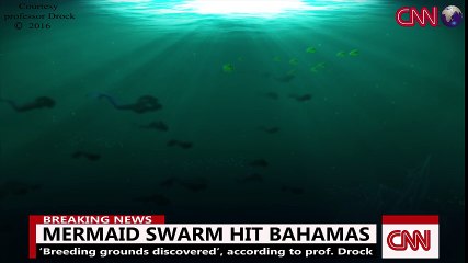 MERMAID SWARM Caught On Tape -  Best proof of Mermaids 2016 -
