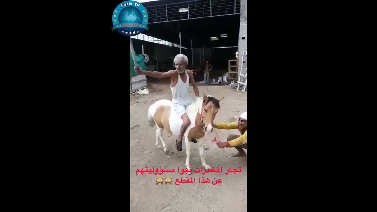 تحشيش بنغالي اضحك حتى البول