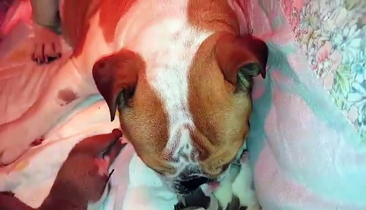 Mariage Nelly et Hero : une merveilleuse maman !