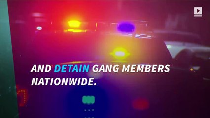 Over 1,300 gang members arrested by ICE