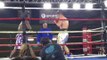 boxing puncher vs boxer - esnews boxing