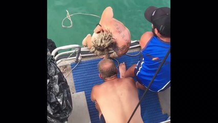 Un pêcheur saute dans l’eau pour attraper un requin