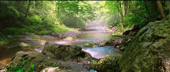 Kadamban (Hindi) Official Trailer - Arya, Catherine Tresa - Riwaz Duggal - Yuvan Shankar Raja