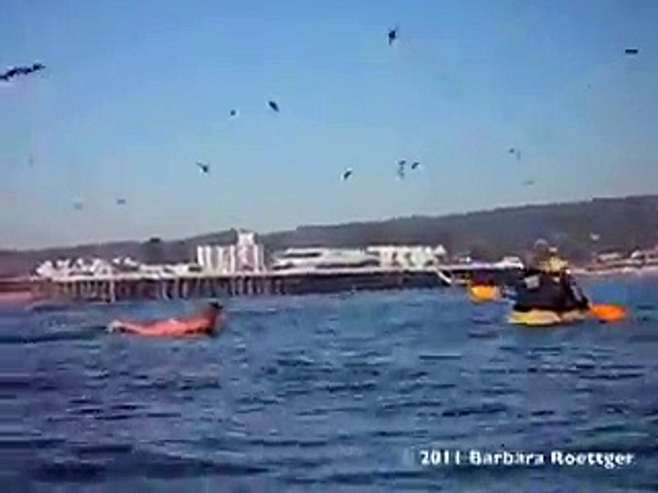 Elle filme sa fille au moment où elle surfe, mais ce qu'elle voit est incroyable