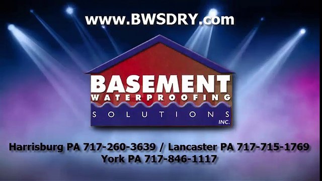 Mold Removal Services | Basement Waterproofing Solutions | BWSDRY.com