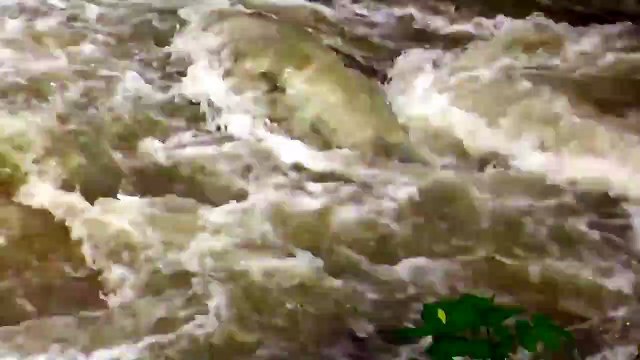 Donau Hochwasser Deggendorf-Metten 04.06.2013 - Danub
