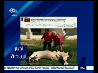 أخبار الرياضة | منتخب مصر يذبح عجلاً قبل مواجهة نيجيريا