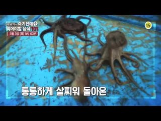 봄 주꾸미의 다양한 변신!_죽기전에 꼭 먹어야할 음식 101 13회 예고