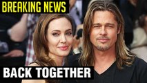 Brad Pitt & Angelina Jolie BACK TOGETHER | BREAKING NEWS | Full Story