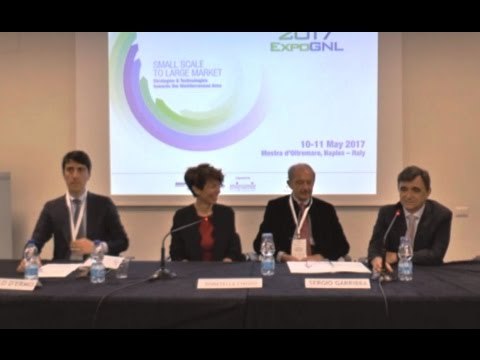 Napoli - Gas naturale liquefatto, esperti da tutto il mondo alla conferenza Gnl (11.05.17)