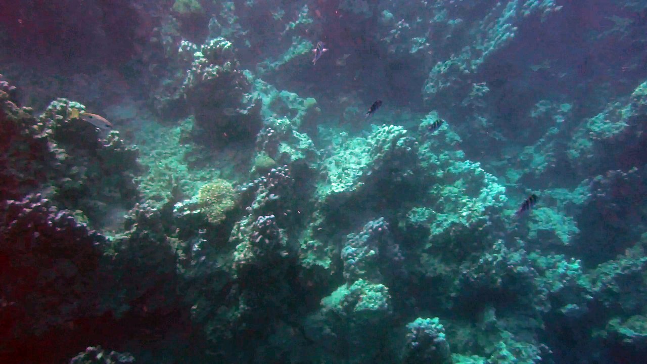 DSCF1639