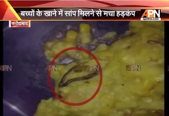 Dead snake found in Mid day meal in Faridabad, UP