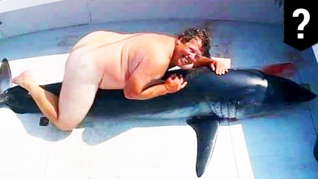 Mystery surrounds viral photo of naked fat man spooning dead shark