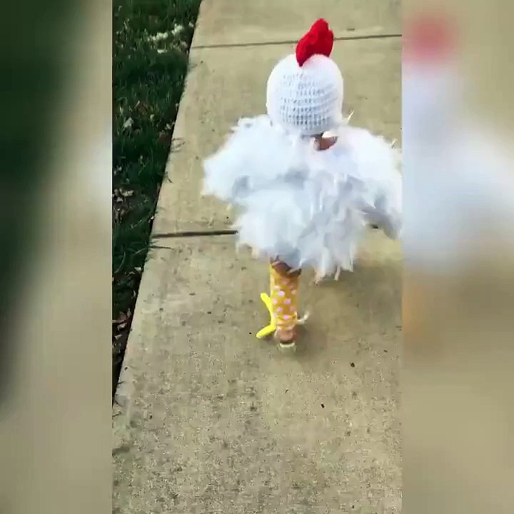 Funny video 2016(2)