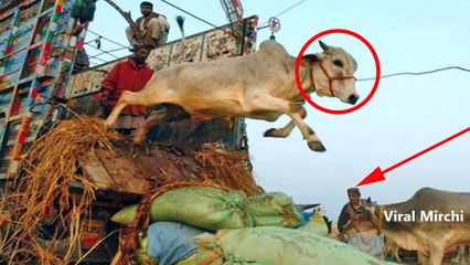 It Happens Only In BANGLADESH | Funny BANGLADESH COMPILATION | Episode 4