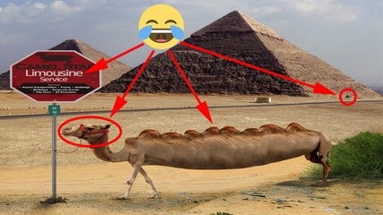 It Happens Only In EGYPT | Funny EGYPT COMPILATION | Episode 12