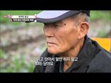 억척 해녀 어멍과의 재회 [엄마의 봄날] 31회 20160222