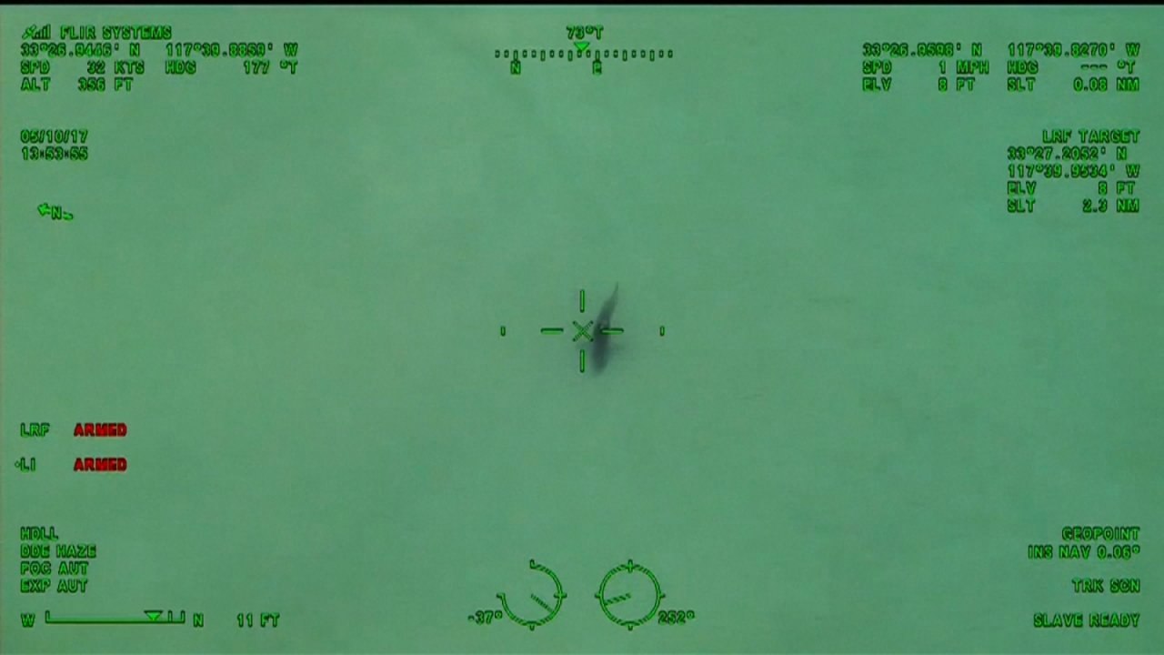 Paddle-boarders told to exit water as great white sharks swim nearby