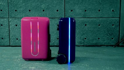 This Suitcase Will Follow You Around In The Airport--And Other Stories You Might've Missed