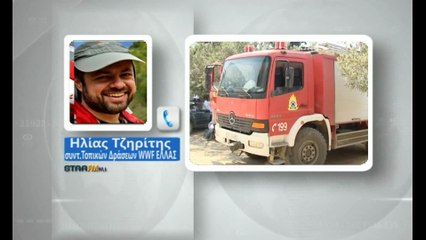 WWF Ελλάς : Καμπανάκι για τις δασικές πυρκαγιές στη Στερεά