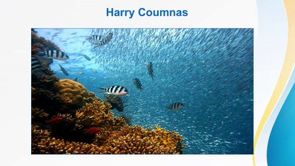 Harry Coumnas Claims That an Ocean Of Water Lies Below the Earth Surface
