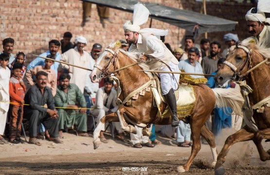 Natinal Tent Pegging Championship Winner M.H Sultania Awan Horse Neza Baaz Club