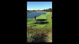 Golf-Player kills flying Bird! UNBELIEVABLE