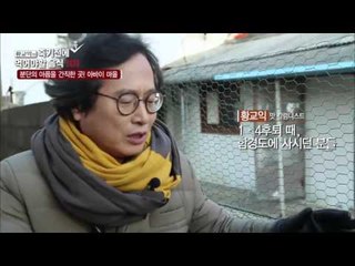 분단의 아픔, 아바이 마을 [황교익의 죽기 전에 꼭 먹어야 할 음식 101] 11회 20160218